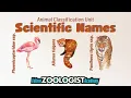 Scientific Names How to Write and Interpret a Binomial Name