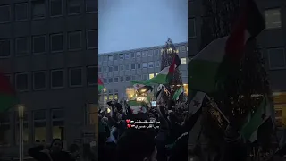 بس القلب فلسطيني بس القلب عسوري جديد سوريا وفلسطين 