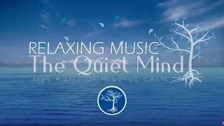Download Relaxing Music for Sleep - 10 Minute Meditation Music - Sleep Music MP3