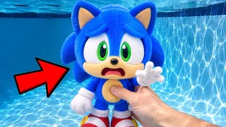 I Found BABY SONIC in My Pool!