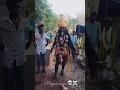 Download Lagu Mayanakollai video 2025  / Maasi Maatha Mayana soorai 🔥 / Angalamman Festival 🙏 #mayanakollaivideo