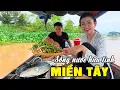 Download Lagu 🔴 Về Đồng Tháp Mưu Sinh Mùa Nước Nổi | Cẩm Hằng