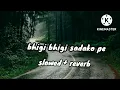 Download Lagu bhigi bhigi sadko pe love special lofi song  #arijit singh#