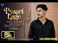 Pyaari Lage song  ( BORDER 2: )
