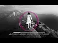 Vintage Culture, Bruno Be & Ownboss - Intro Rework (Ashibah Miracle Vox Edit)