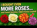 Lagu Ik heb nóg meer rozen gekocht... en ontdekte soorten waarvan ik niet wist dat ze bestonden!