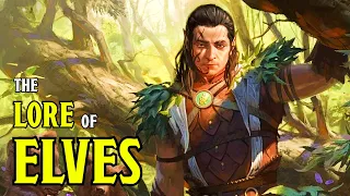 Elves Explained The History of Elvenkind in D D