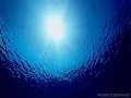 Download Lagu The Islanders - Enchanted Sea