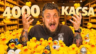 Szimulátor Szerda | Sort them Ducks