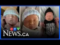 Meet CTV Atlantic s Katie Kelly s baby