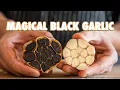 How To Make Black Garlic At Home Easily