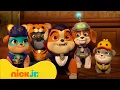 Rubble \u0026 Crew | Achtertuinprojecten met Rubble en Motor! | Nick Jr. Nederlands