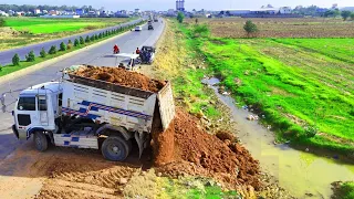 Start new Project !Filling Up The Land Huge, Transaction By Bulldozer KOMATSU D31p & 5Ton Dump Truck
