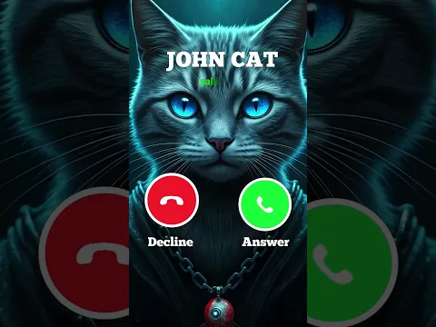 This Patient Cat is Calling You After Waiting All Day... β³ #cat #funny