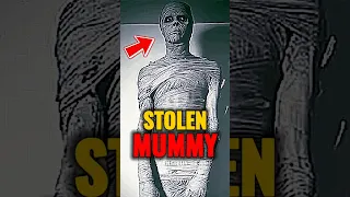 The Horror Story Of Egyptian Mummy Shorts 