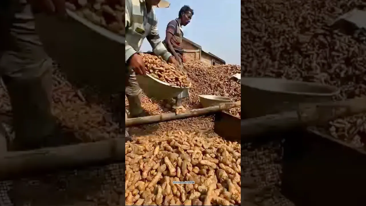হলুদ