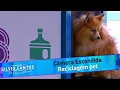 Download Lagu Reciclagem Pet | Câmeras Escondidas (02/04/23)
