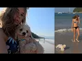 my dogs first time swimming