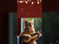 Lagu 🔴 NGAMEN DI BIS KOTA #kucing #hewan #cat #viral #shotrs #dogs #anjing