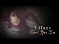 Download Lagu Tiffany - Can't You See (with lyrics)