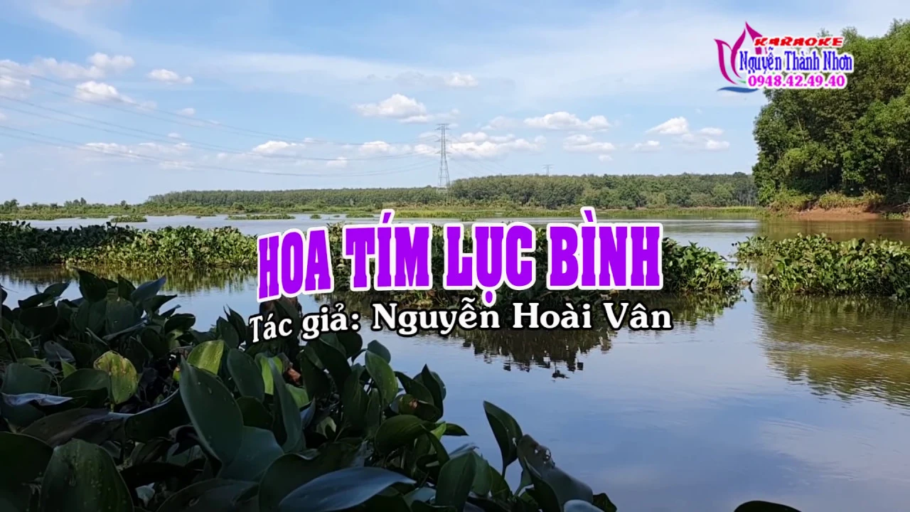 Karaoke vọng cổ HOA TÍM LỤC BÌNH - SONG CA [T/g Nguyễn Hoài Vân]