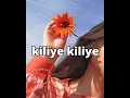 Download Lagu kiliye kiliye ! DJ sekhar ! Full song