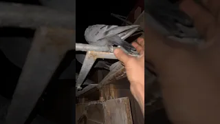 پایان چالش کفتر چاهی غریب گیری کفتر چاهی در ایران کبوتر بلندپرواز شورت بازی نظافت 