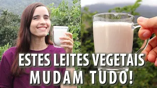 3 LEITES VEGETAIS mais PODEROSOS que comecei a fazer no ano! Muitos BENEFÍCIOS!