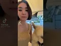Lagu Tiktok viral versi Gisel Kambing aja 3 juta masa kamu 300 ribu