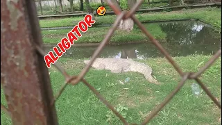 aj hum gaye zoo mien new vlog 2026 anas vlog