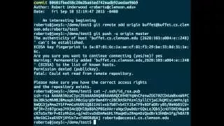 Git Well Soon Seminar An introduction to Git and Version Control