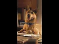 CS-23238 OMS Orangnic Social Gus EAST Meta 9x16- mp4