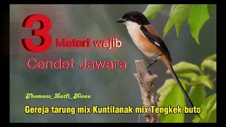 3 materi wajib cendet jawara gereja tarung mix kuntilanak mix tengkek buto cendet