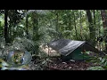 Download Lagu Camping di hutan berburu ikan di guyur hujan deras mancing baung saat air meluap panen ikan melimpah