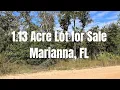 1 13 Acre Residential Lot for Sale in Marianna FL