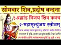 Download Lagu सोमवार शिव प्रदोष वन्दना/ब्रह्मांड विजय शिव कवच/ महामृत्युंजय स्तोत्र/Mahamrityunjay Mantra