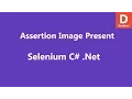 Selenium C Assert Image Present