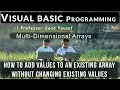 Visual Basic - Add values to an existing Multi Dimensional Array