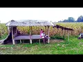 Download Lagu Ingat iklan RCTI zaman dulu Berarti anda sudah tua 😀🤭