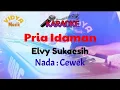 Download Lagu PRIA IDAMAN Karaoke Elvy Sukaesih