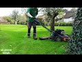 Toro Timemaster with Striping Kit LAWN SCARIFYING RESULTS