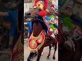 Bocil nangis viral Naik kuda renggong