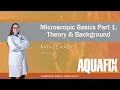 Microscopic Basics in Theory