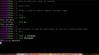 Hiding user input on terminal