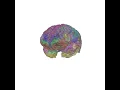 Inflate a Freesurfer brain in MNE-Python
