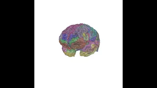 Inflate a Freesurfer brain in MNE-Python