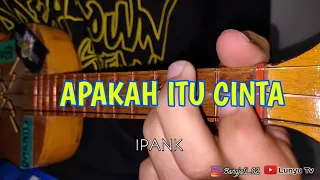 Download APAKAH ITU CINTA - IPANK KENTRUNG COVER BY LTV MP3