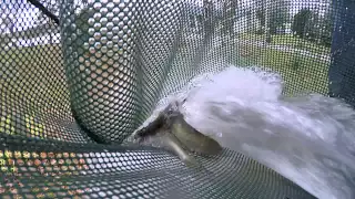 Fish Stocking 2014