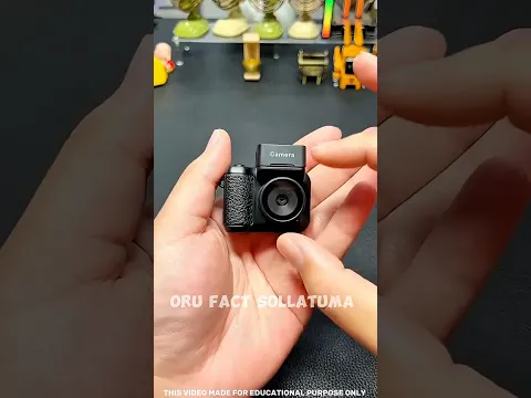 🔥 The 3 TINIEST Things You’ll Ever See! 👀 #Shorts