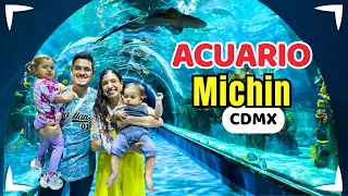 Acuario Michin CDMX 🦈 Precios, promociones y qué hacer ✅ Sin Postal